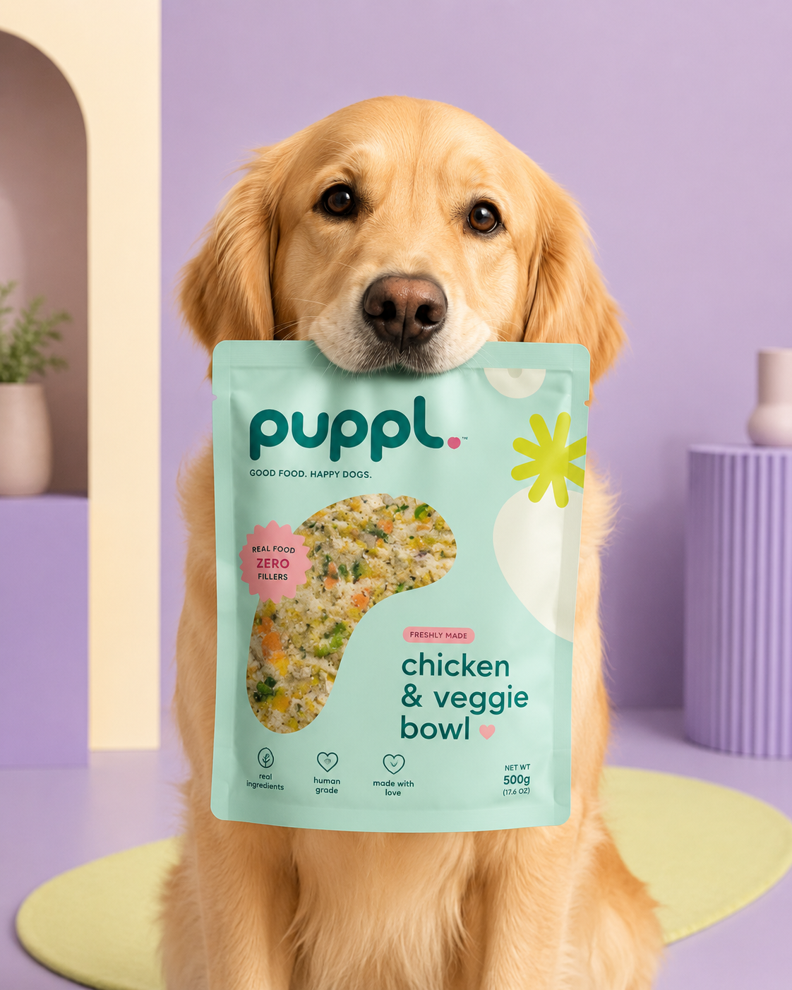 Pet food photography for delivery services — clean product images