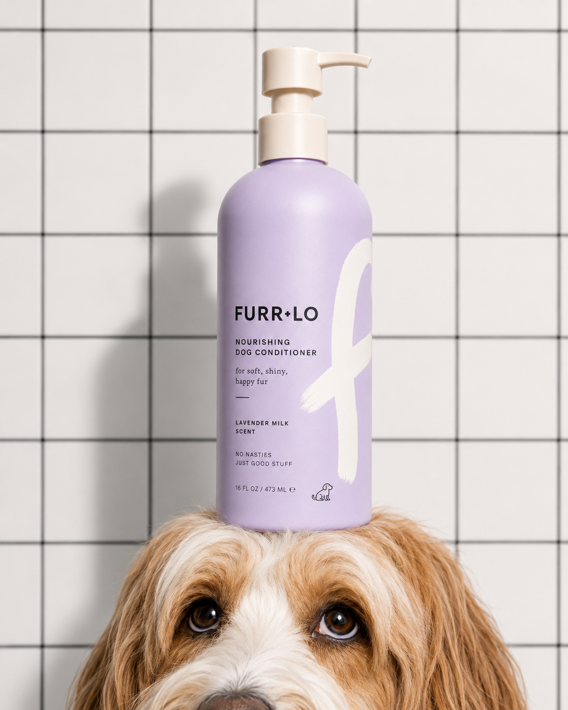 Pet supplies catalog image optimization — compressed for speed and SEO