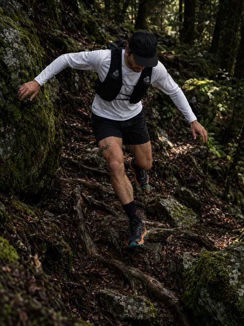 Forest Descent: optimize catalog images example made with Sellable